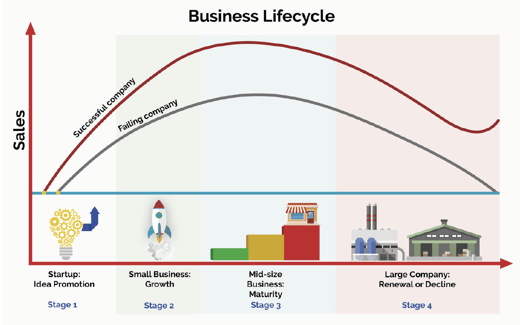 BUSINESS-LIFECYCLE