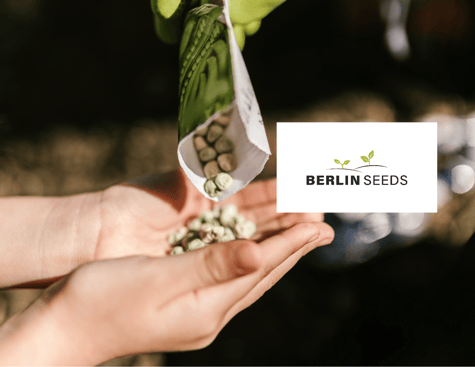 Berlin Seeds