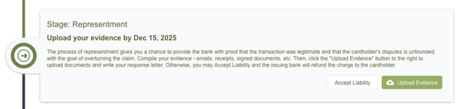 Screenshot of the Dispute Options