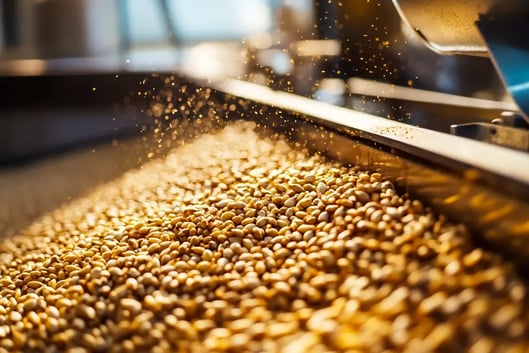 How dashboard analytics helped Turtle Mountain catch errors faster, rethink their warehouse, and build a new growth plan.
