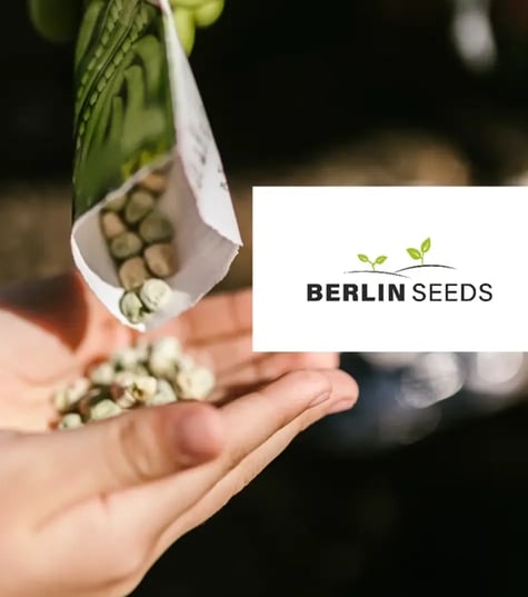 Berlin Seeds